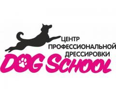 Дрессировка собак и зоогостиница в "DOG School"